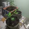 Berta Sanz - @berta.sanz5 - TikTok