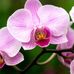 Berta Sanz - Facebook