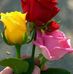 Berta Sanz - Facebook