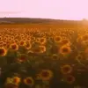 berta.saravia - @berta.saravia - TikTok