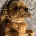 Bertha Sawyer - Facebook