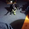 bertascottsmith - @bertascottsmith - TikTok