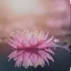 Berta Segovia - @berta.segovia6 - TikTok