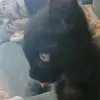 Berta Linda - @berta_silva - TikTok