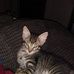 Roberta Simmons - Facebook