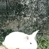 Berta Simpson - @berta.simpson8 - TikTok