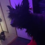 Berta Smith - @smithberta - Instagram