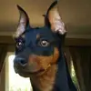 Berta Soto - @bertasoto905 - TikTok