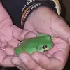 Berta McLaughlin Stewart - @berta.mclaughlin73 - TikTok
