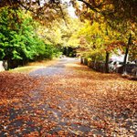 @bertastonecv - Instagram