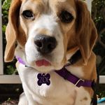 Senora Sweeney - @sweeneyroberta - Instagram