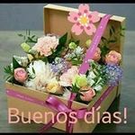 Berta Tapia - @berta.tapia.148 - Instagram