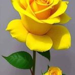 Berta Torres - Facebook