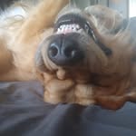 Berta Toth - @berta_toth - Instagram