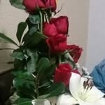 Berta Trujillo - @berthatru1972 - Instagram