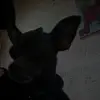 Berta Trujillo Perez - @berta.trujillo.pe - TikTok