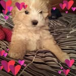 Berta Martinez Valdivia - @bertamartinezvaldivia - Instagram