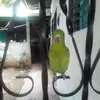 Berta Valdivia - @berta.valdivia2 - TikTok