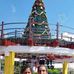 Berta Vasquez - Facebook