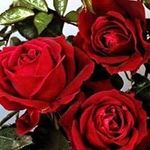 Angelica Velazquez - @berta.velazquez.399 - Instagram