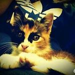 Berta Velazquez Aranda - @bertavelazquezaranda - Instagram