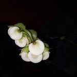 Maria Berta Velazquez de Jesus - @bertavelazquez19 - Instagram