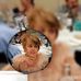 Berta Velilla - Facebook