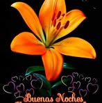 Berta Vogt - Facebook