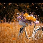 Bertha Andrew - @banietrifasia - Instagram