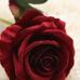 Bertha Badillo - Facebook