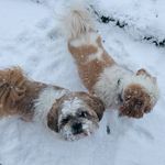Bailey_Bertha - @bailey.bertha2 - Instagram