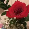 berthabarela6 - @berthabarela6 - TikTok