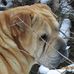 Bertha Beal - Facebook