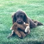 Bertha, Beetroot & Bean - @bertha_beetroot_bean - Instagram