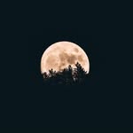 Bertha Beck - @bertha._.beck - Instagram