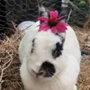 BEBE.BERTHE - @bebe.berthe - TikTok