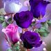 Bertha Bernal - Facebook