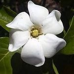 Bertha Bernal - @bety1855 - Instagram
