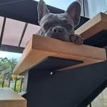 Bertha Bernal - @berthatulia27 - Instagram