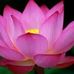 Bertha Bernal - Facebook