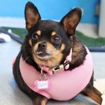 Bertha - @bertha_birdie - Instagram