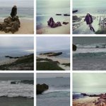 Bertha Bird - @alieharieox - Instagram