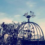 Bertha Cheung - @bertha_bird_bird - Instagram