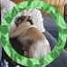 Bertha Black - Facebook