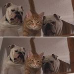 Brenda Drzewiecki - @bertha_black_ - Instagram