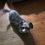 Bertha Blakey - @blakeybertha - Instagram