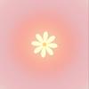 bloomsbybertha - @bloomsbybertha - TikTok