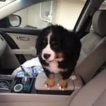 Bertha Blue - @bertha_blue - Instagram