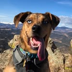 Bertha Blue - @bertha_blue_eyes - Instagram