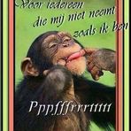 Bertha Boon - Facebook